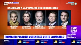 Primaire écologiste: pour qui votent les Lyonnais?