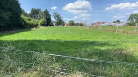 À Vimy, un terrrain concerné par le projet immobilier se gorge régulièrement d'eau quand il pleut.