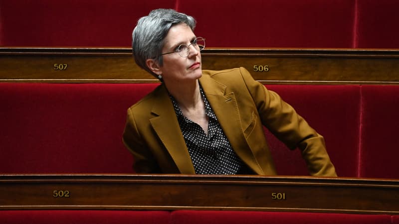 Assemblée: Sandrine Rousseau, accusée d'avoir fait un bras d'honneur, présente ses excuses pour avoir 