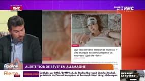 Les histoires de Pierrick Bonno : Alerte "job de rêve" en Allemagne - 28/02