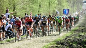 Les coureurs traversent la Trouée d'Arenberg, lors de la 115e édition de Paris-Roubaix, le 9 avril 2017