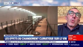 Sécheresse: à l'approche des vendanges, les vignerons tirent leur épingle du jeu, et gardent "le sourire aux lèvres"