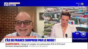 Neige en Île-de-France: "Il aurait fallu avoir des traitements plus préventifs"