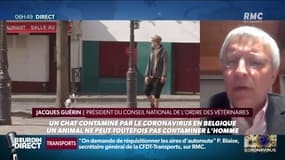 Covid-19 et animaux de compagnie: les recommandations du président du conseil national des vétérinaires