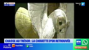 La chouette d'or retrouvée en Moselle?