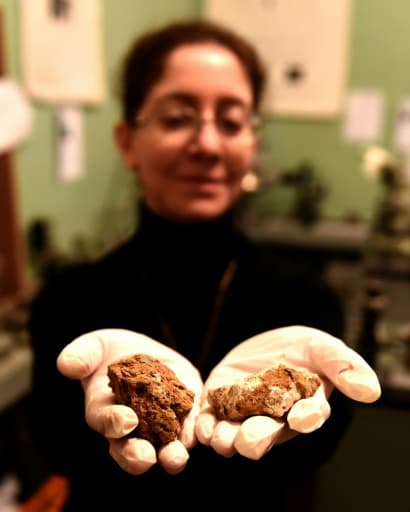 L'astro-biologiste Marika Tarasachvili travaille sur un projet de développement de vigne sur Mars, le 26 février 2019 à Tbilissi, en Géorgie