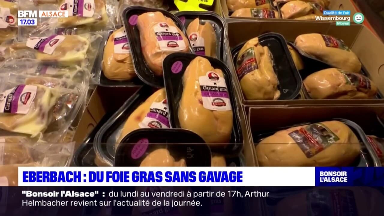 Eberbach: du foie gras sans gavage