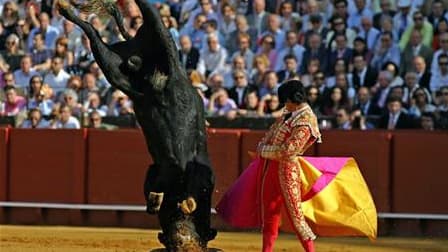 Les députés du parlement de Barcelone ont décidé par un vote l'interdiction des corridas en Catalogne à partir de 2012, une première en Espagne exception faite des Canaries. /Photo d'archives/REUTERS