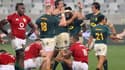 Afrique du Sud - Lions britanniques et irlandais