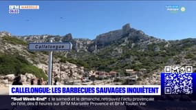 Bouches-du-Rhône: les barbecues sauvages inquiètent dans le parc national des Calanques