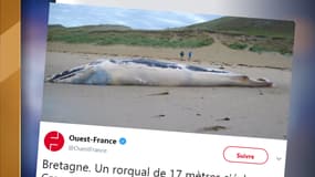 Capture du tweeter de Ouest-France.
