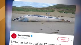 Capture du tweeter de Ouest-France.