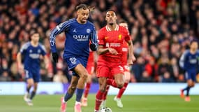 Bradley Barcola avec le PSG face à Liverpool, le 11 mars 2025.