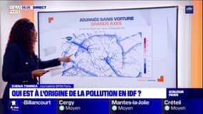 Île-de-France : L'origine de la pollution et l'impact d'une journée sans voiture