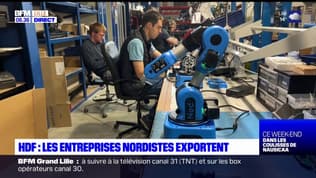 Hauts-de-France: les entreprises nordistes exportent de plus en plus