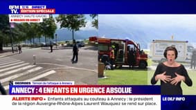 "Des mamans en pleurs, les gens paniquaient": un témoin de l'attaque au couteau à Annecy évoque le drame