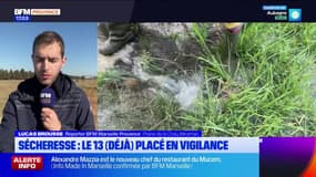 Bouches-du-Rhône: le département en vigilance sécheresse, le niveau de la Crau inquiète