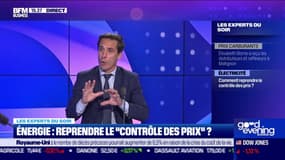 Énergie : reprendre le "contrôle des prix" ? 