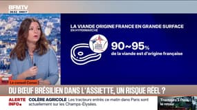 LE CONSEIL CONSO - Mercosur: du bœuf brésilien dans l'assiette, un risque réel?