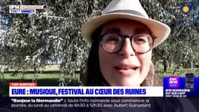 Top Sorties du vendredi 15 septembre - Eure : Musique, festival au cœur des ruines