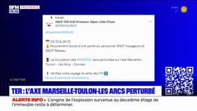 La circulation des TER perturbée ce lundi entre Marseille, Toulon et les Arcs en raison d'un mouvement social