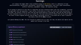 Le site du Département de l'efficacité gouvernementale (Doge) américain.