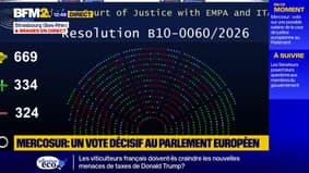 Mercosur: le Parlement européen vote en faveur d'une saisine de la cour de justice de l'Union européenne 