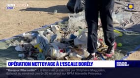 Marseille: 200 kg de déchets ramassés à l'escale Borely dimanche