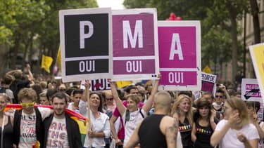 Une manifestation en faveur de la PMA en 2013