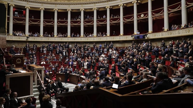 "Pacte apporte une pierre nouvelle à cet édifice qui va permettre à chaque Français de vivre de son travail et à l'économie de se redresser", a affirmé Bruno Le Maire après le scrutin. 
