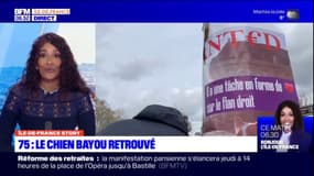 Paris: Bayou, le chien porté disparu depuis le 21 février, a retrouvé son maître