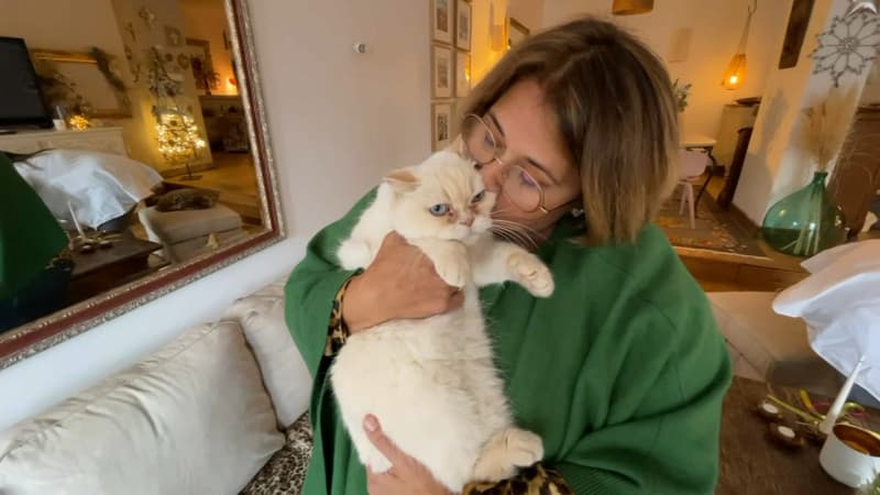 Marseille: un chat disparu depuis 8 ans retrouve son domicile