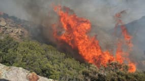 Prudence, cet été, les risques d'incendies sont particulièrement élevés dans le Sud de la France