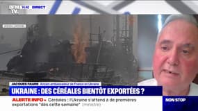 Céréales ukrainiennes: "La parole de Moscou ne vaut pas grand chose, car elle est difficile à mettre en œuvre", selon l'ancien ambassadeur de France en Ukraine