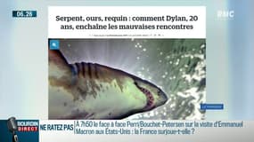 Dylan, 20 ans, a déjà survécu à un serpent, un ours et un requin...