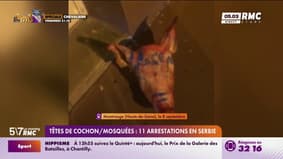 Têtes de cochon/Mosquées : 11 arrestations en Serbie