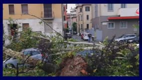 Les dégâts du violent orage qui a touché Milan, le 25 juillet 2023 