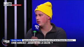 FORUM BFM - Colère agricole: ce céréalier assure qu'il ne peut pas se verser un salaire et qu'il est obligé d'avoir un deuxième travail pour "survivre"