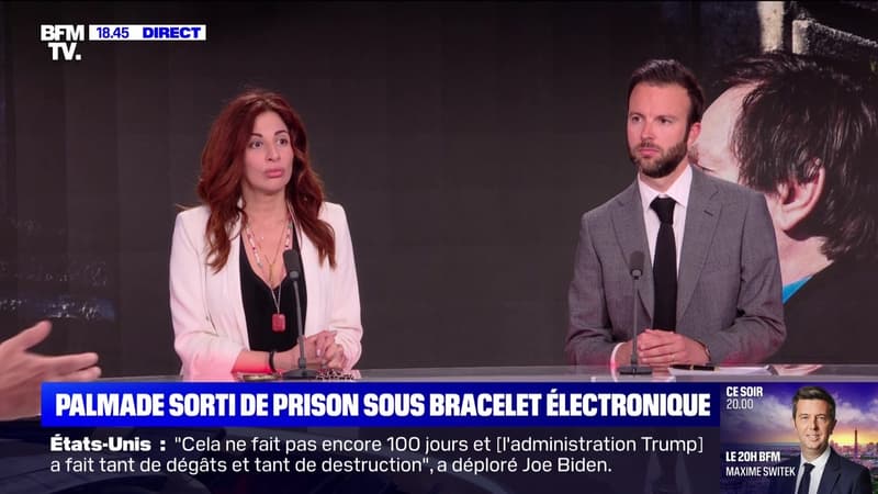 Story 4 : Pierre Palmade sorti de prison sous bracelet électronique - 16/04