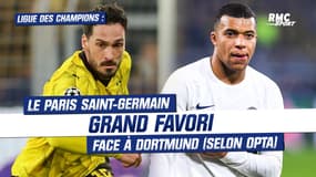 Ligue des Champions : le PSG grand favori face à Dortmund (selon Opta)