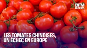  Les tomates chinoises, un échec en Europe 