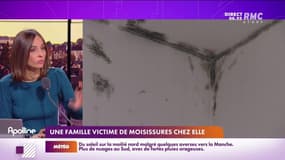 RMC s’engage pour vous : Une famille victime de moisissures chez elle - 23/11