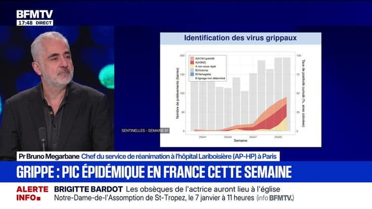 Grippe: le pic épidémique est attendu pour cette semaine en France