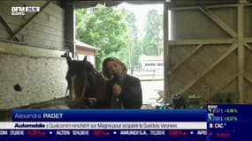 La France qui résiste : Quand le cheval devient coach, par Alexandra Paget - 05/10