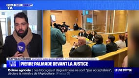 Pierre Palmade: le procès pour "blessures involontaires" s'est ouvert en présence de l'humoriste devant le tribunal judiciaire de Melun