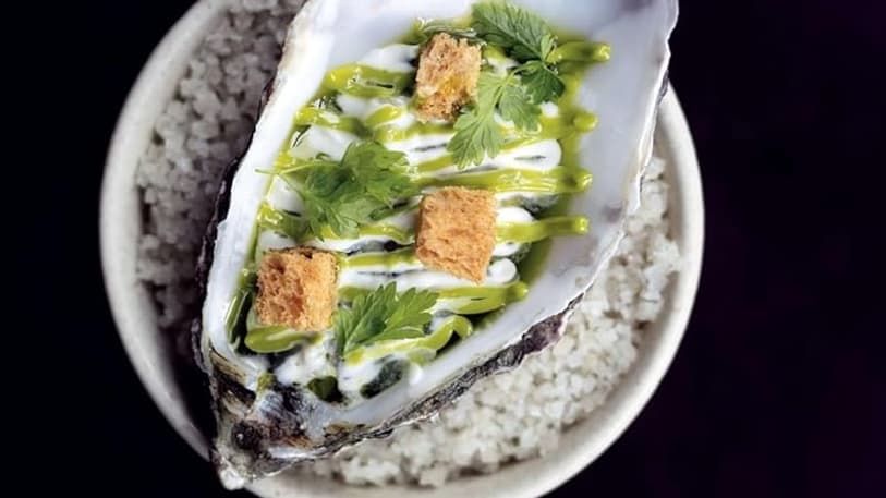 Poireaux vinaigrette aux huîtres. Photographie tirée du livre "Bruxelles 100 chefs 100 recettes de la mer", de Chloé Roose paru chez Racine. Poireaux vinaigrette aux huîtres. Photographie tirée du livre "Bruxelles 100 chefs 100 recettes de la mer", de Chloé Roose paru chez Racine.