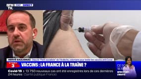 Story 3 : Quel vaccin pour les Français ? - 11/12