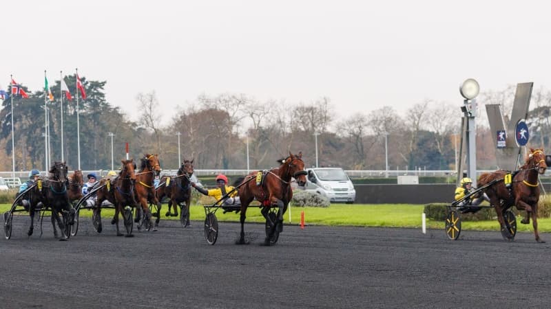 It's a Dollarmaker domine Iroise de la Noé dans la Finale du GNT