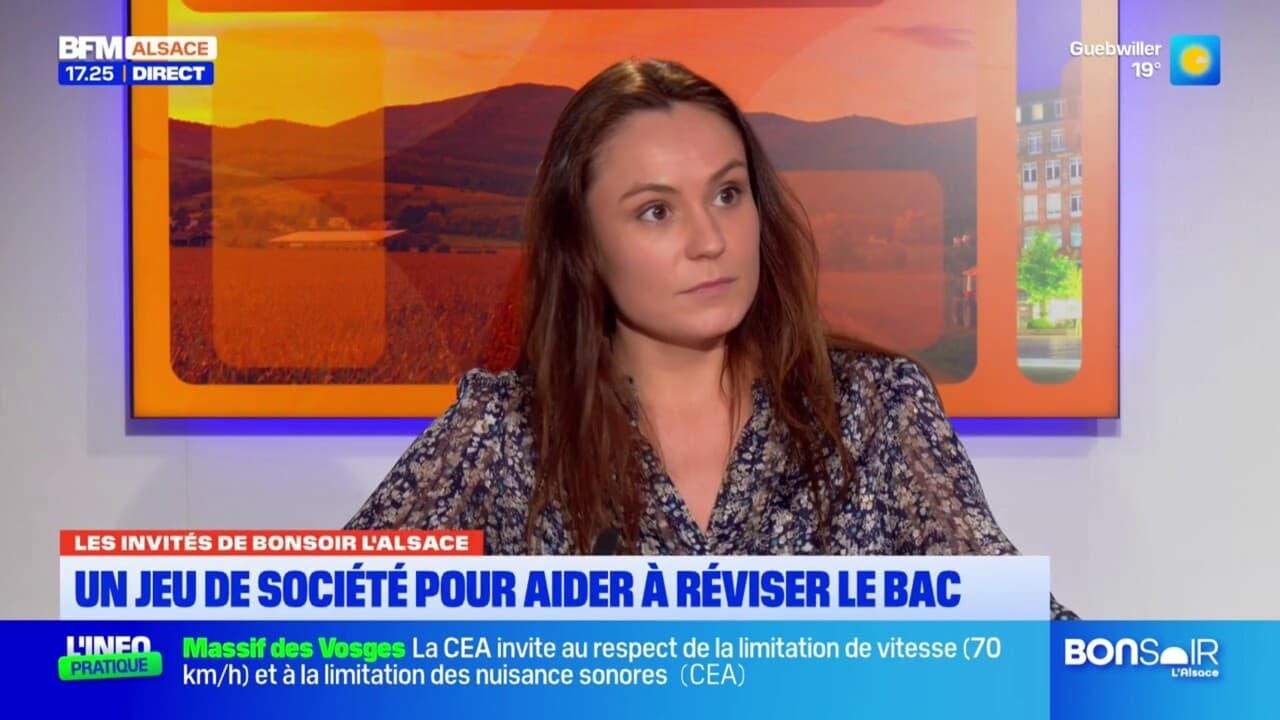 "Passe ton bac d'abord": des professeurs alsaciens ont contribué à un