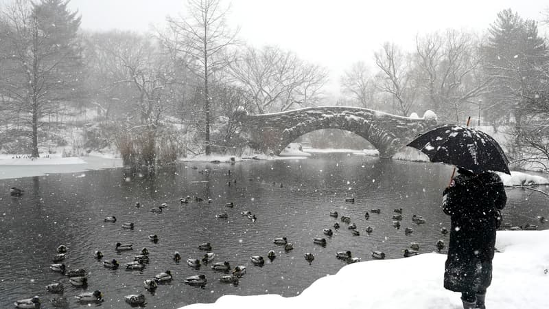 Neige à Central Park. 